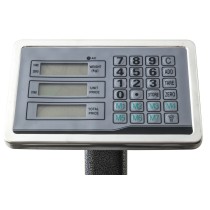 20210203122828-bilancia-300kg-con-piattaforma-professionale-pesatura.jpg