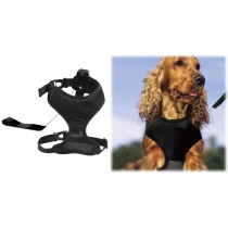20181006122219-guinzaglio-retrattile-cane-allungabile-passeggiata-lucky.jpg