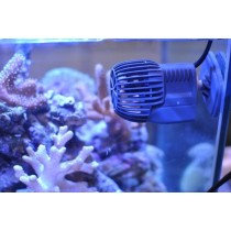 20181201124621-onde-acquario-pesci-movimento-aria.jpg