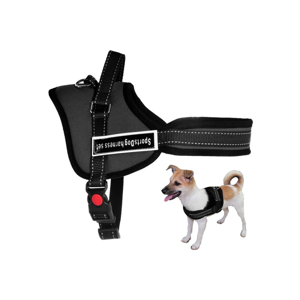 20191216160937-pettorina-animale-cane-.jpg