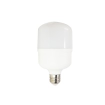 20180428105832-lampadina-led-bulbo-25w.jpg