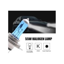 20191114094725-h4-coppia-lampadina-luce-fredda - Copia.jpg