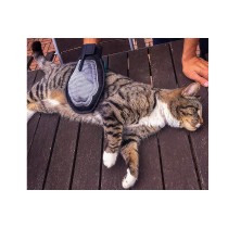20191119151659-guanto-peli-animali-toalettatura.jpg