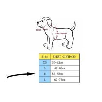 20191121115611-pettorina-cane-imbracatura-passeggio.jpg