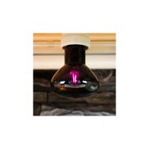 20191126122407-lampadina-e27-nero-vetro-rettili.jpg