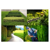 20220310125343-tagliasiepi-elettrico-siepi-cespugli-450watt-lama-dentata-46cm-giardino-casa-cortile-giardinaggio.jpg