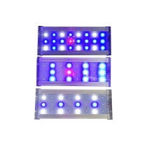 20230408092158-20201013111729-luce-illuminazione-led-acquario-pesci.jpg