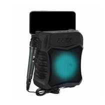 20230424135006-cassa-speaker-bluetooth-portatile-microfono-karaoke.jpg