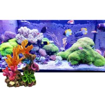 20210324105429-corallo-acquario-decorazione-fondale.jpg