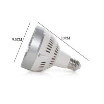 20210325125821-lampadina-led-par30-luce-fredda-.jpg