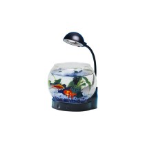20181129104416-lampada-acquario-bolla-pesci-vetro-nero.jpg