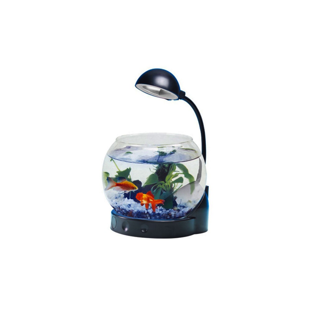 20181129104416-lampada-acquario-bolla-pesci-vetro-nero.jpg 20181129104416-lampada-acquario-bolla-pesci-vetro-nero.jpg
