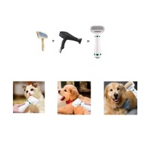 20210906124750-Senza titolo-1.jpg