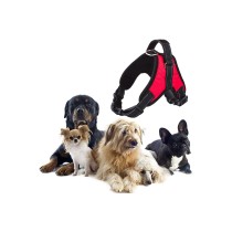 20191121115611-pettorina-cane-dog-.jpg