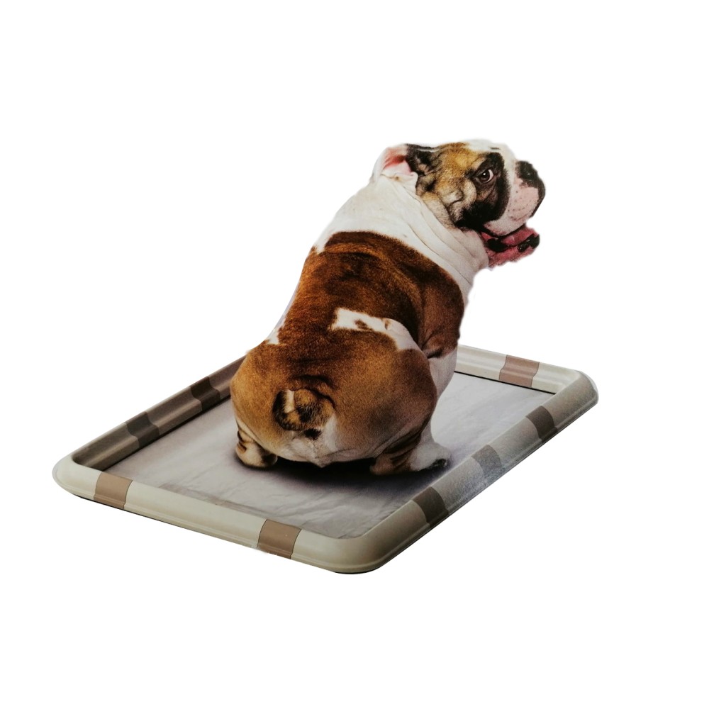 20210324115447-ferma-lettiera-cane-gatto.jpg