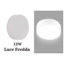 20210626113933-plafoniera-led-12w-rotonda-luce-fredda.jpg