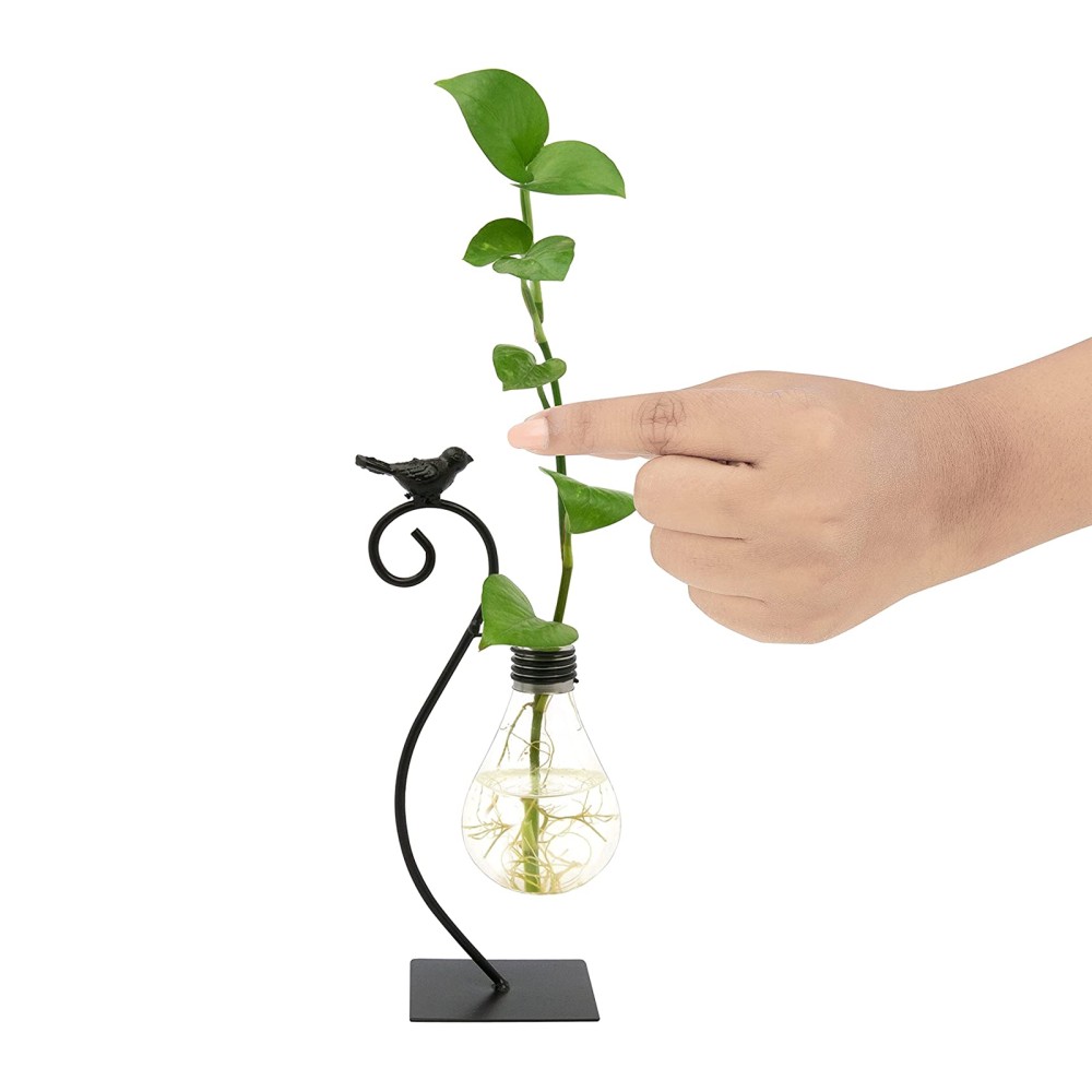 20220711124205-mini-vaso-vetro-ferro-decorativo-casa-fiori-piante.jpg