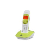 20220812131046-TELEFONO-PORTATILE-BRONDI-VERDE-BIANCO -.jpg