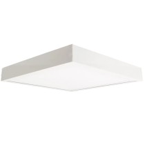 20230328105404-plafoniera-led-50w-luce-fredda-esterno-interno-.jpg