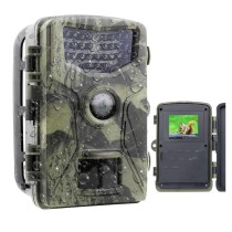 20240419110706-caccia-camera-hd-caccia-bosco.jpg