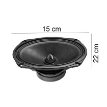 20231005103414-cassa-audio-altoparlante-coppia-ovale-6x9''.jpg