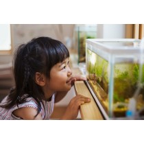 20181201101325-acquario-pesci-bimba-filtro.jpg